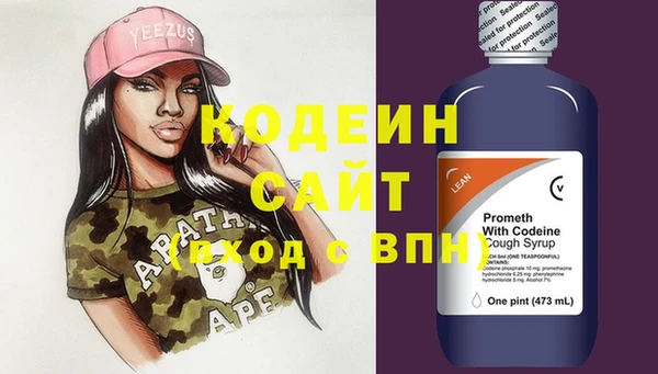 ECSTASY Бородино
