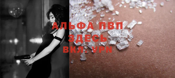 ECSTASY Бородино