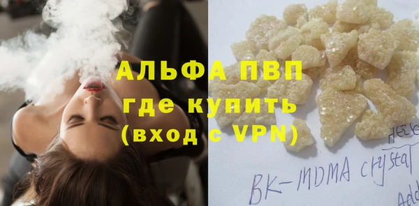 ECSTASY Бородино