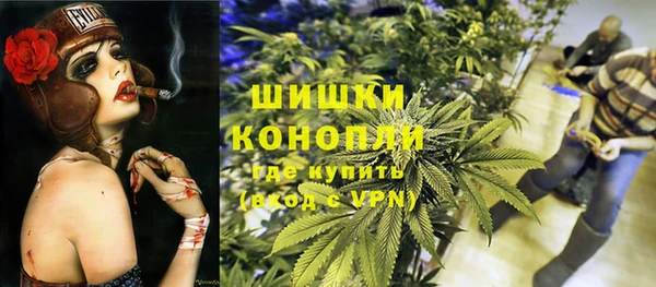 ECSTASY Бородино