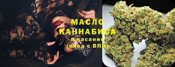 ECSTASY Бородино