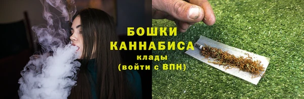 ECSTASY Бородино