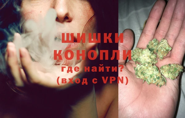 ECSTASY Бородино